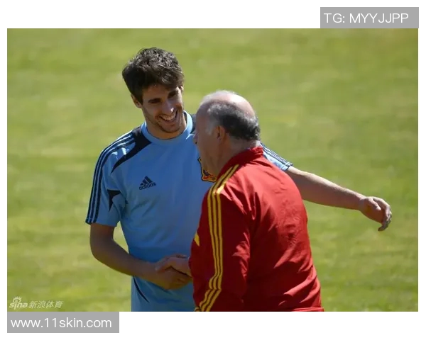 西班牙球队在联合会杯中的团队协作表现分析与点评